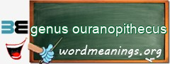 WordMeaning blackboard for genus ouranopithecus